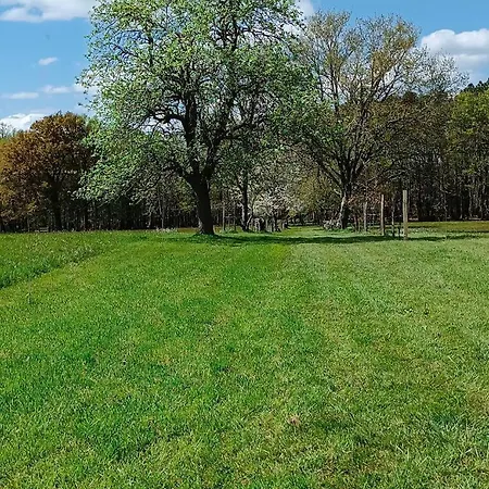 Les Biches בית נופש